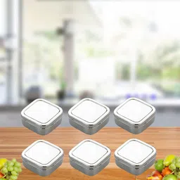 prateek kitchenware Mirror Finish Stainless Steel Portion Control Food Container/Lunch Box/Tiffin (300 ml) Pack of (6) 6 Containers Lunch Box image 5