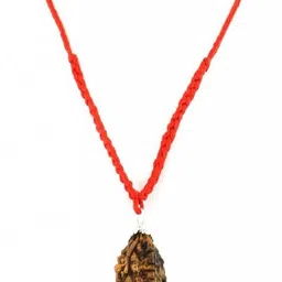numeroastro 3 (Three ) Mukhi Rudraksha Pendant For Health,Wealth & Knowledge Wood Pendant image 2