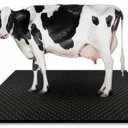 haryana king Cow mat Premium Black XL SIZE black color Cow, Dog, Hamster, Guinea Pig, Miniature Pig Pet Mat-picture-27