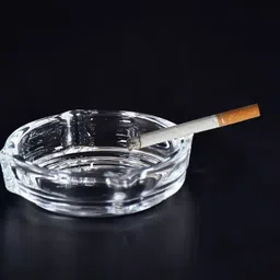 sgw nexus Crystal Quality Cigar Cigarette Ashtray Round Tabletop for Home Office Indoor Clear Glass Ashtray image 2