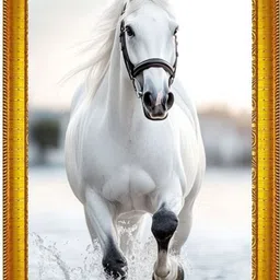 niko MDF Wall Photo Frame-picture-16