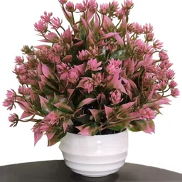 baarig Best For Home Shop Office Table Decoration Or Gift Pink Wild Flower Artificial Flower with Pot-picture-10