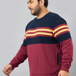 austivo Men Full Sleeve Striped Sweatshirt image 3