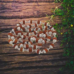 sahiba gems 999 Silver caps rudraksha mala for men Silver Plated Silver, Rudraksha Necklace image 5