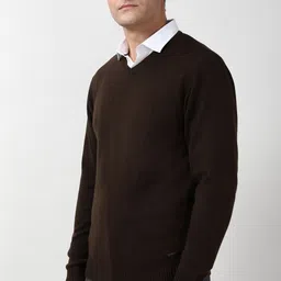 peter england Men Solid V Neck Brown Sweater image 4