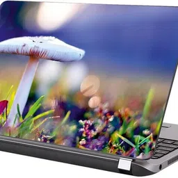 KALARKARI Laptop Skin color full Mashroom Premium vinyl HD printed Easy to Install Laptop Skin/Sticker/Vinyl/Cover for all size laptops vinyl Laptop Decal 15.6 image 4