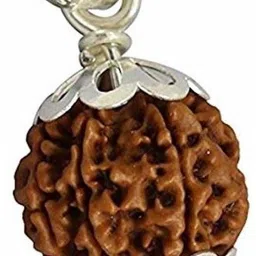 jewelswonder 100 % Original & Natural Five Face / 5 Mukhi / Panch Mukhi Rudraksha With JGL La Wood Pendant-picture-13