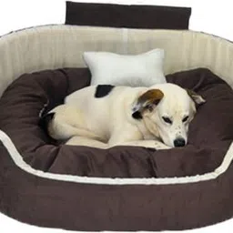 havensdraem Dog Bed, Sofas Bed & Chairs Bed Coller With Haddi XXL Pet Bed-picture-37