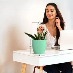 yuccabe italia SHERA Stella Flower Pots for Home Décor | 8 Inch Planter for Indoor & Outdoor Plant Container Set image 3