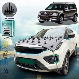 frap Skoda Yeti Body Cover-picture-32