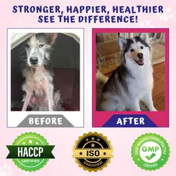 tail & collar club Fabcoat dog & Cat wellness with Omega 3,6 &9 Pet Health Supplements image 5