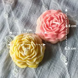 pynora Rose Candles Candle image 2