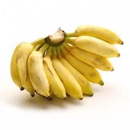 Banana Plant-image-74