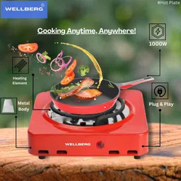 wellberg Durable iron body electric stove for efficient charcoal and tandoor heating Electric Cooking Heater image 2