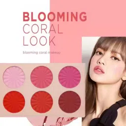 feelhigh 6 color matte blusher palette ,cheeks & face blusher palette - Shade-01 image 3