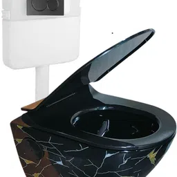 bherunath Wall Mounted P Trap Commode With Soft Seat Cover Cistern Flushing Concealed With Chrome Flush Plate - 10 L ST Western Commode-picture-14