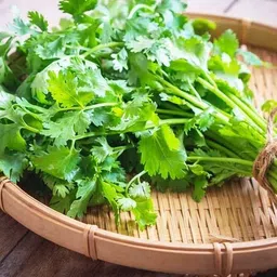 deys agro ™ hybrid coriander seeds for planting,dhanya vegetable Seed image 3