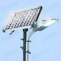 essoti Bird Spike image 4