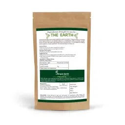 Simply Earth Organic Ginkgo Biloba Powder For Brain Health And Memory Support - 100gm image 2