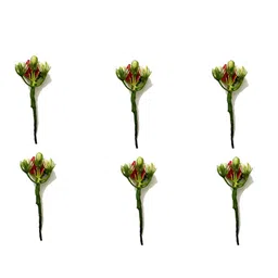 Hair Flare Women Set of 6 Embellished Floral Hair Accessory Set-image-11