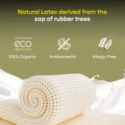 sleepycat Ultima 10 Inch Natual Latex Single Size Mattress image 5