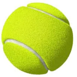 vishnu ji fs54sa Cricket Tennis Ball image 3