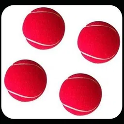 jai shri New-JS _73Pack of 6 Tennis Ball-picture-14