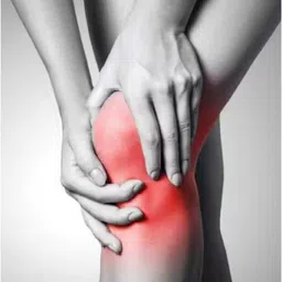 gymgalaxy Knee Support Brace | Pain Relief KneeCap Sleeve | Gym & Squats Leg Support Knee Support image 5