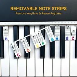 imetz Piano Keytops image 3