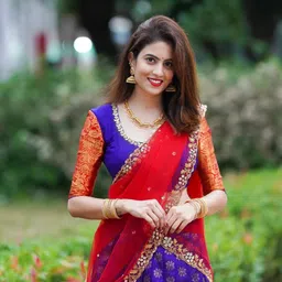 neeventerprise Self Design Semi Stitched Lehenga Choli image 5