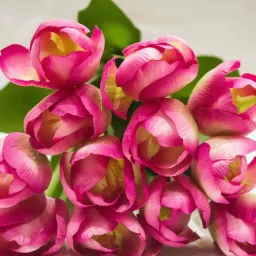 casacraft from pepperfry Pink Fabric Light Tulip Bunch Artificial Flowers image 5