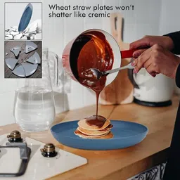 sugaalsu Wheat Straw Round Dinner Plates Lightweight, Unbreakable & Eco-Friendly Servin Dinner Plate image 3