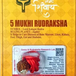 5 Mukhi Rudraksha With Lab Certified, Wood Pendant-image-45