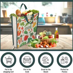 double r bags Cotton Canvas Shopping Bags for Carry Milk Fruits Vegetable Grocery Bag image 5