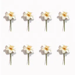 Hair Flare Women White & Gold-Toned Embellished Hair Accessory Set of-picture-45