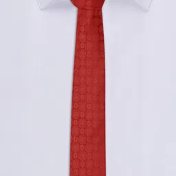 Van Heusen Men Red Printed Skinny Tie image 4