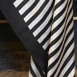 Mitera Off White & Black Printed Striped Saree image 4