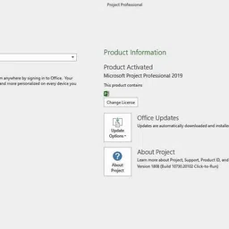 MICROSOFT Project Professional 2019 (1 User/PC, Lifetime Validity) Activation Key image 5