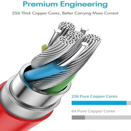 Raptor USB Type C Cable 1.05 m 6A WARP/ DASH CABLE FAST CHARGING SUPPORT| Compatible with Oneplus 5/5T/6/6T/7/7T/7Pro/8/8T image 2