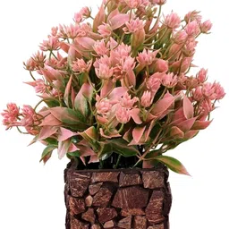 Great For Home/Shop/Office/Gift Table Flower with Coconut Pot Pink, Green Wild Flower Artificial Flower with Pot-image-14