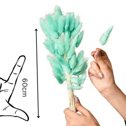 artecasa Bunny Dark Mint Set of 50 Stems Natural Dried Flowers image 3