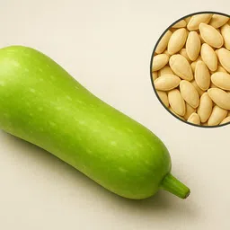 buyq Bottle Gourd Seeds Hybrid for home garden Seed image 4
