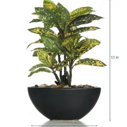 fourwalls Fabric Multicolour Croton Daisy In A Ceramic Pot Artificial Plant image 3