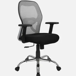 mintwud from pepperfry Akira Mid Back Breathable Mesh Ergonomic Chair with Adjustable Lumbar Support in Grey Color image 3