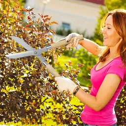 agt Hedge Shear With Wooden Handle { 10 Inch } Garden Tool Kit image 3