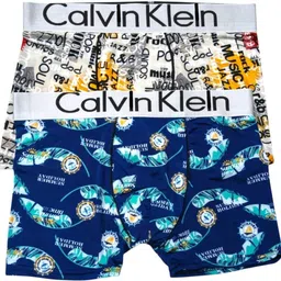 tannu collection Pack of 2 Men Brief-picture-28