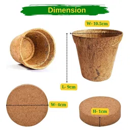 Ecofynd 3 In 1 Diy Leafy Vegetable Grow Kits: Red Amaranth Spinach & Coriander Gardening Kit image 5