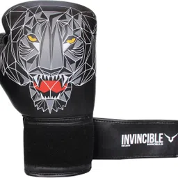 invincible Limited Edition Combat Boxing Gloves Boxing Gloves image 4
