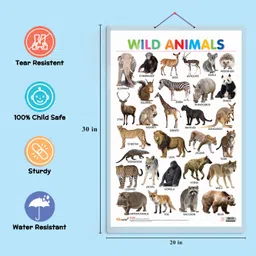 go woo Wild Animals Early Learning Educational Chart for Kids | 20"X30" inch |Non-Tearable and Waterproof | Double Sided Laminated | Perfect for Homeschooling, Kindergarten and Nursery Students Paper Print image 3
