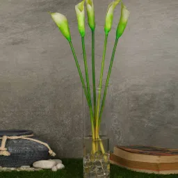 casacraft from pepperfry White Polyurethane Callalily Artificial Flower Pack of 5 image 1